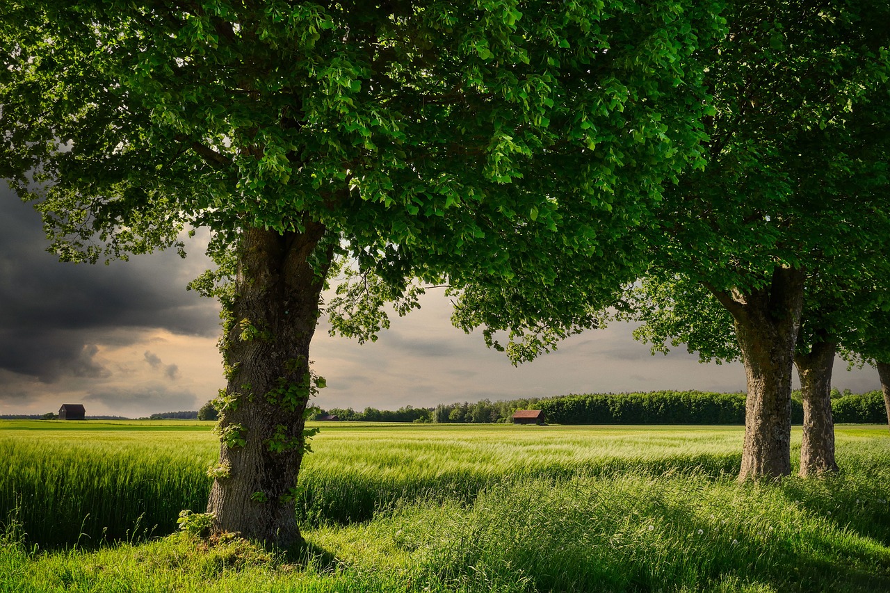 How Can Green Energy Solutions Power A New World?